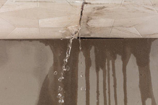 Professional Water Extraction technician working in Molino, FL